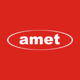 Shares Ashinckiy metzavod PAO (AMEZ)