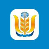 Shares NKHP ao
