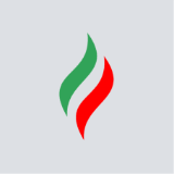 Shares Nizhnekamskshina ao (NKSH)